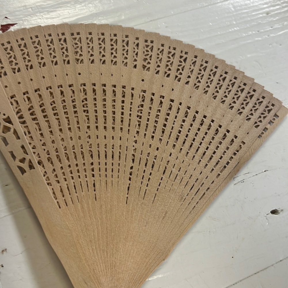 Fan